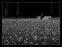 ���������� ParkMan