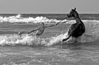 ���������� ����������