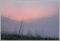 ���������� �����. �������� �����.