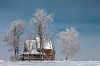 ���������� =��� ������ ��� �����=