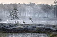 ���������� �����������.