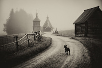 ���������� 1894