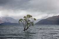 ���������� =NZ��������=