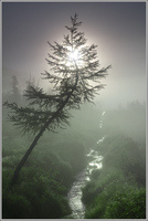 ���������� ������ ����. �����.