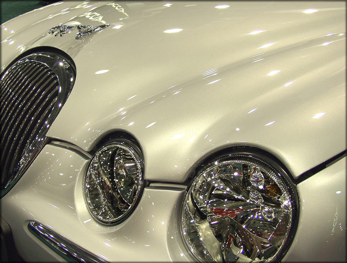  Jaguar