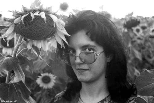 SUNFLOWERS