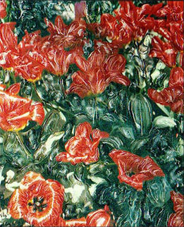  Tulips