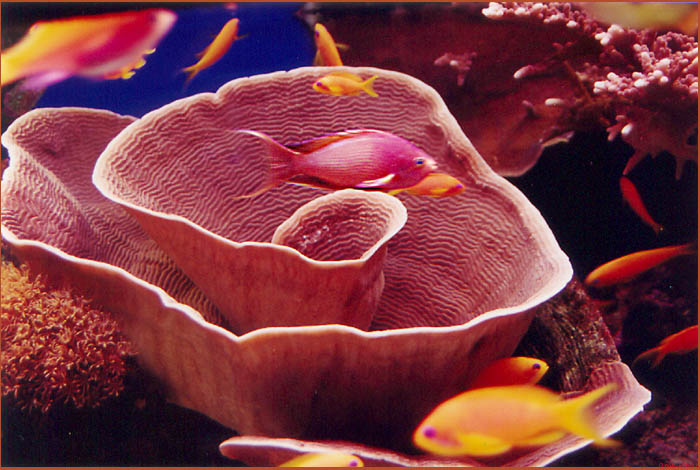  Under water
