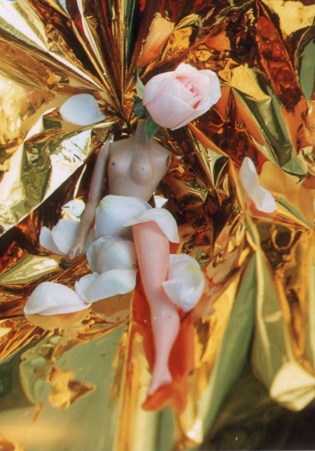  Rosa nude