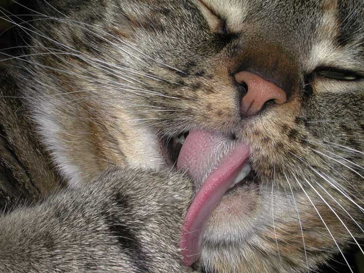  Ain't I gorgeous?!