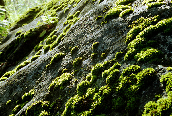  c0017 23