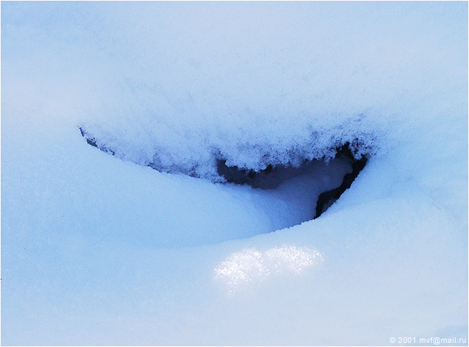  :: deep 'n' curve ::