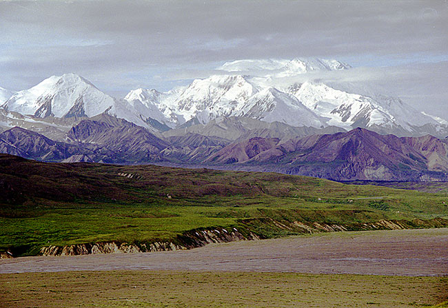  McKinley