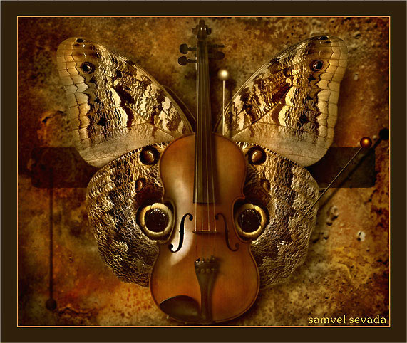  NOCTURNE
