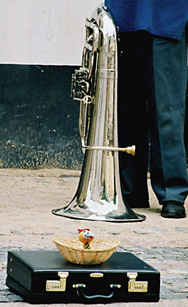  City Melody