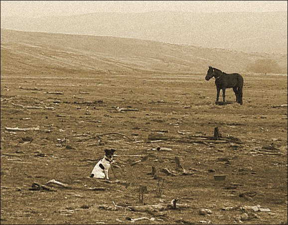  Great American Depression. 2001.