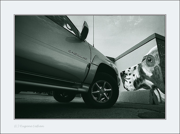  Pedigree