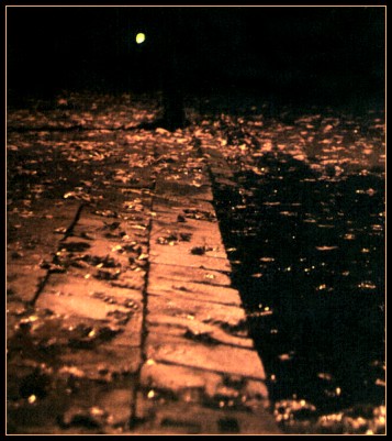  nocju na ulice