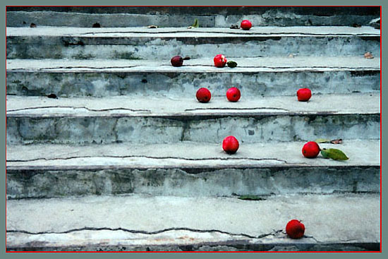  Conversion of form (Note)