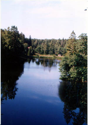  Palmse