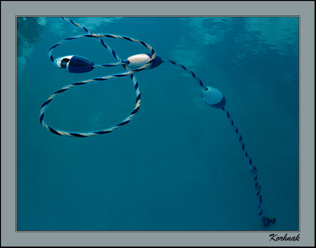  pool rope