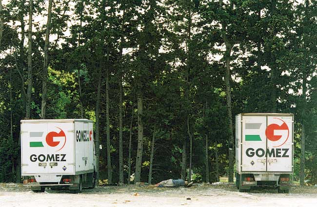  Gomez & Gomez