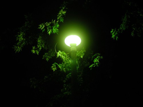  GreenLight