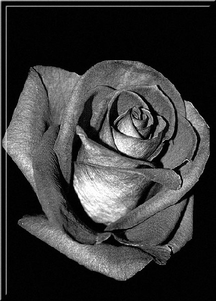  Black&White3
