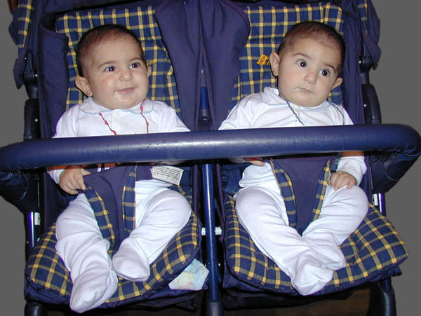  Twins