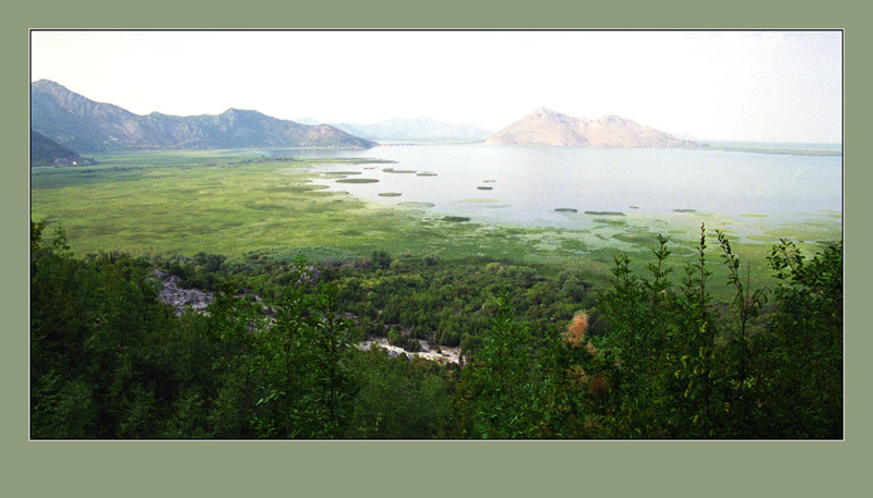  Skadarsko jezero
