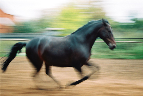  ad in motion
