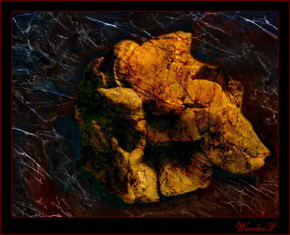  Neglectus