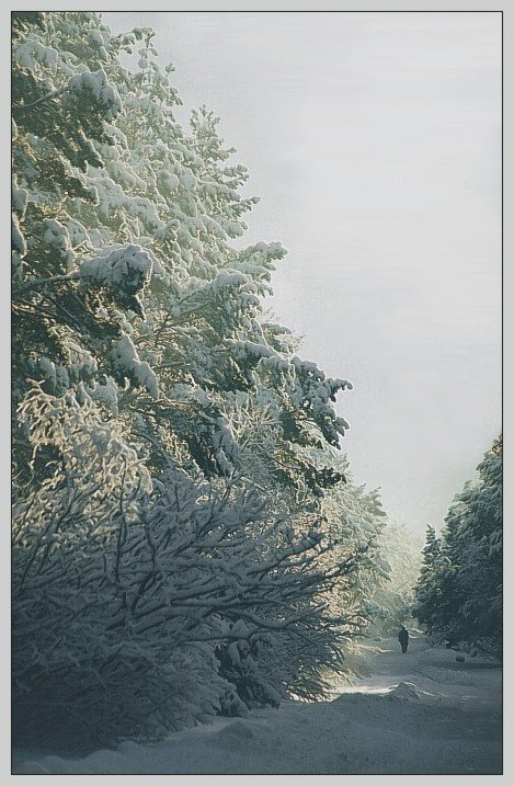  winter dreams