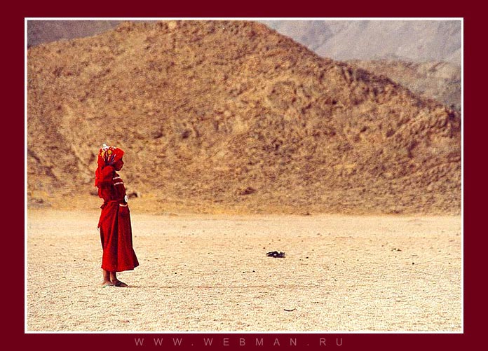  Desert Rose