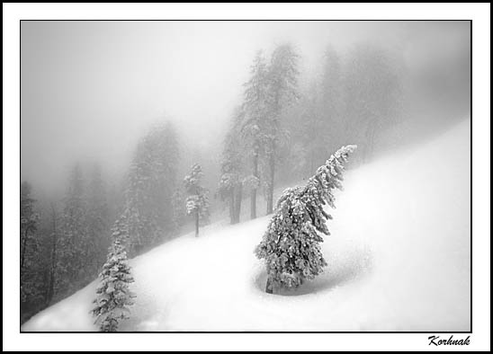  white-out