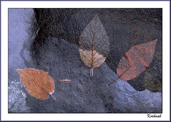  advance of winter