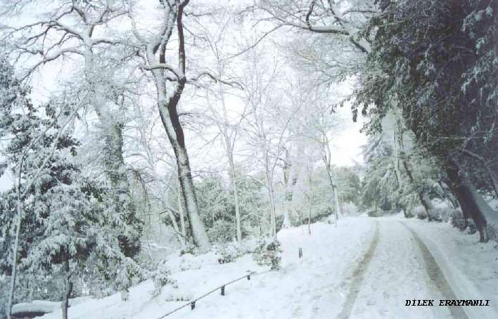  Emirgan