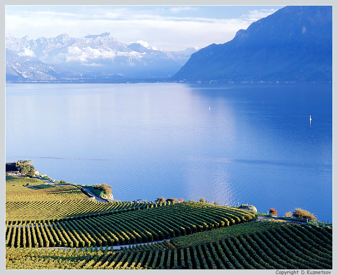     . #1 - Lavaux