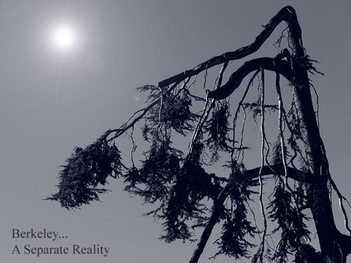  Berkeley... A Separate Reality