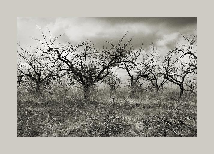  Ghosts of dead valley