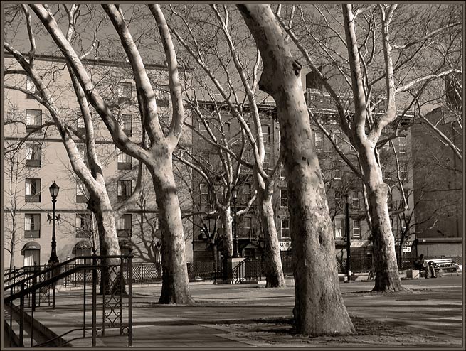  city etude