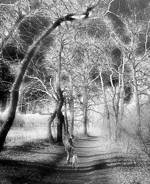  Hallucinations