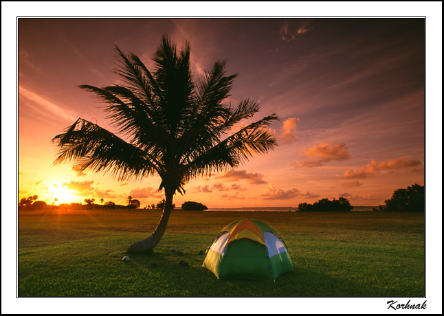  Camp Flamingo