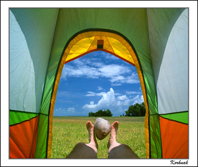  Camp Flamingo (2)