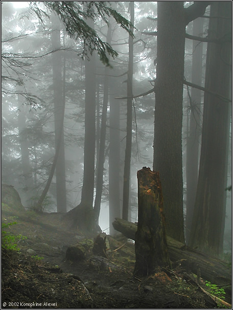  Lynn Peak