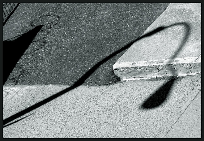  urban flora