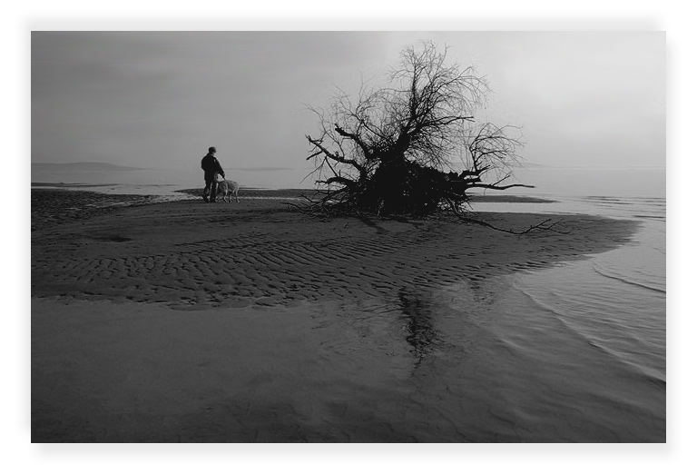  Hallucinations #6
