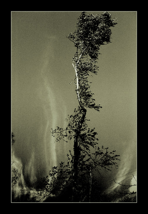  Unfamiliar wind