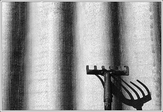  The Shadows...