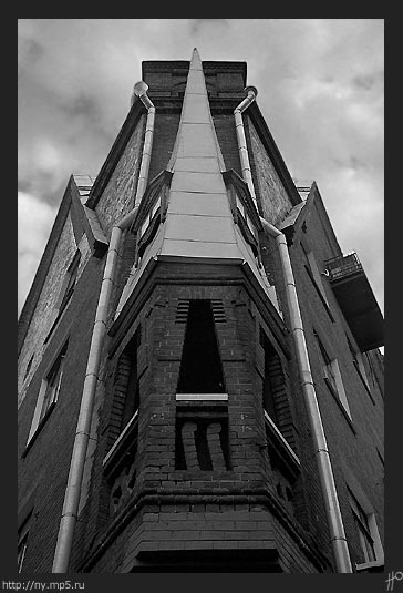  The dark house